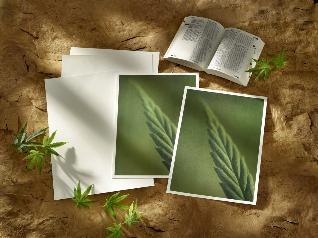 canvas, photos, paper, greens, leaf pattern
