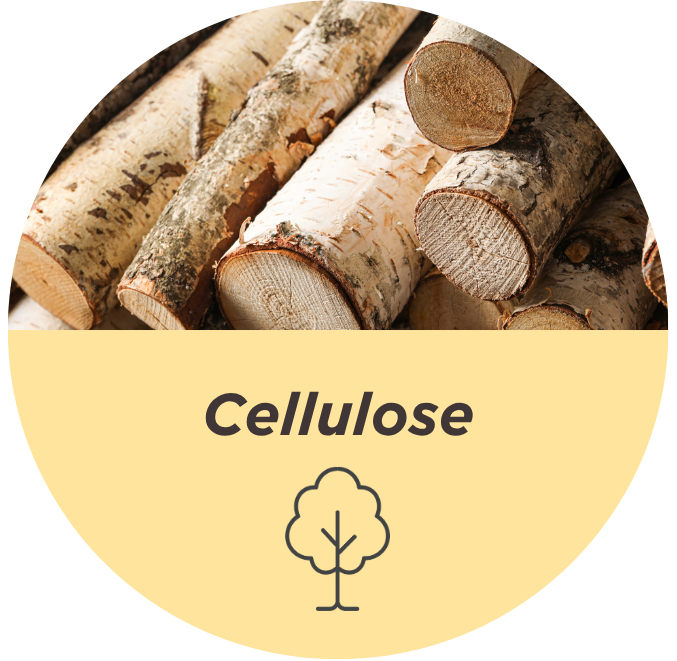 wood, log, birch, planks, cellulose