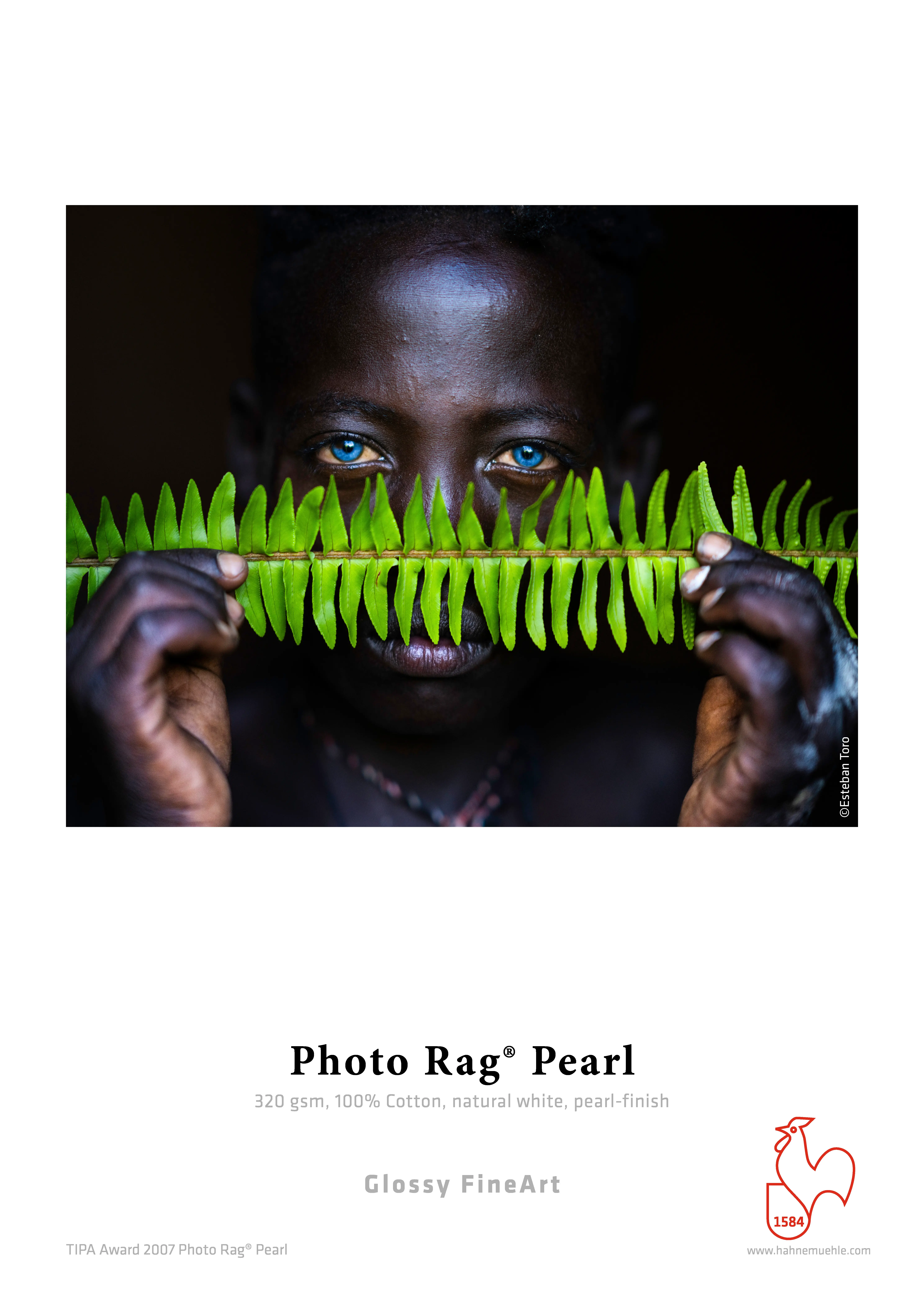 green fern, leaf, plant, eyes, portrait