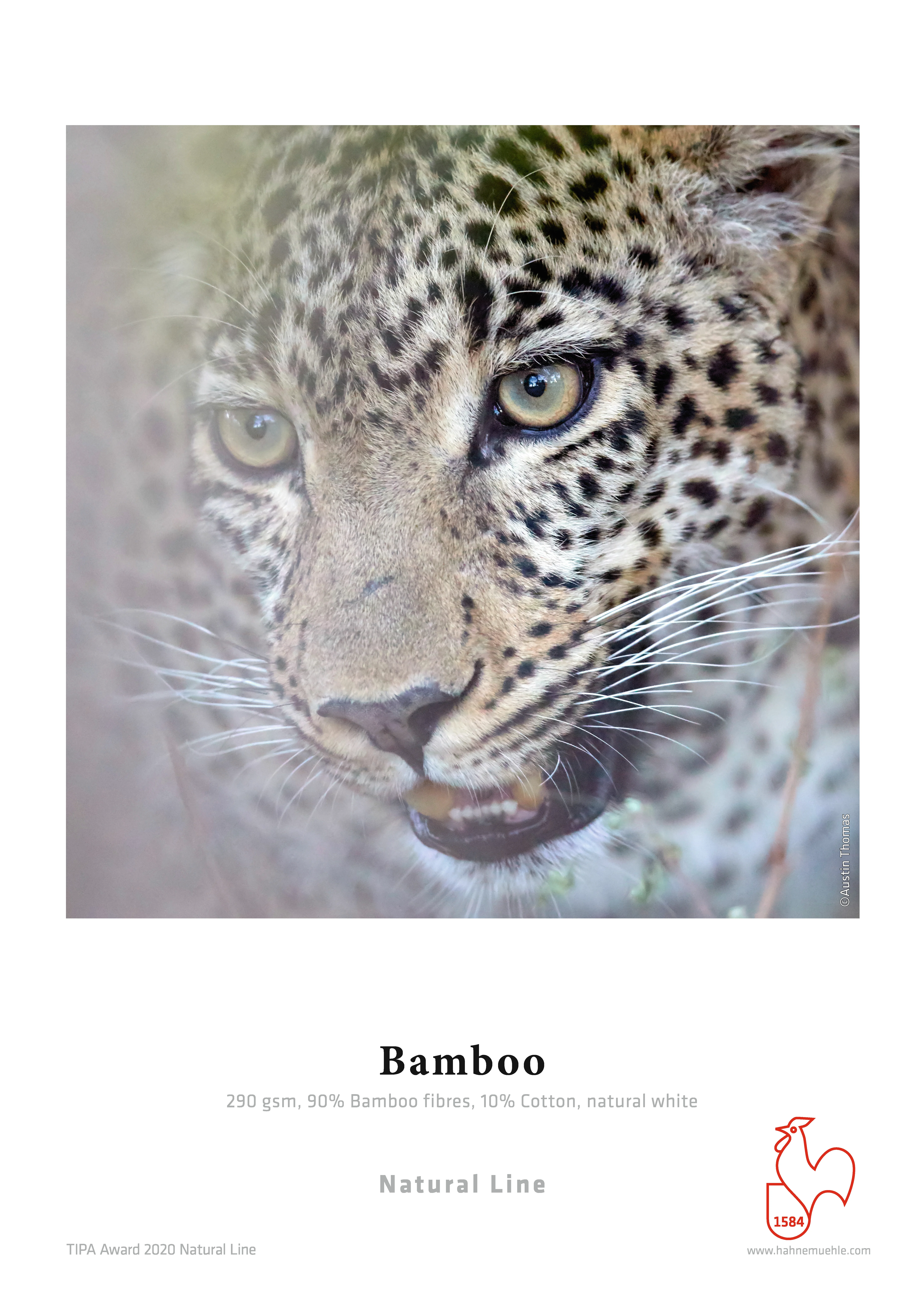 leopard, face, fur, spots, whiskers