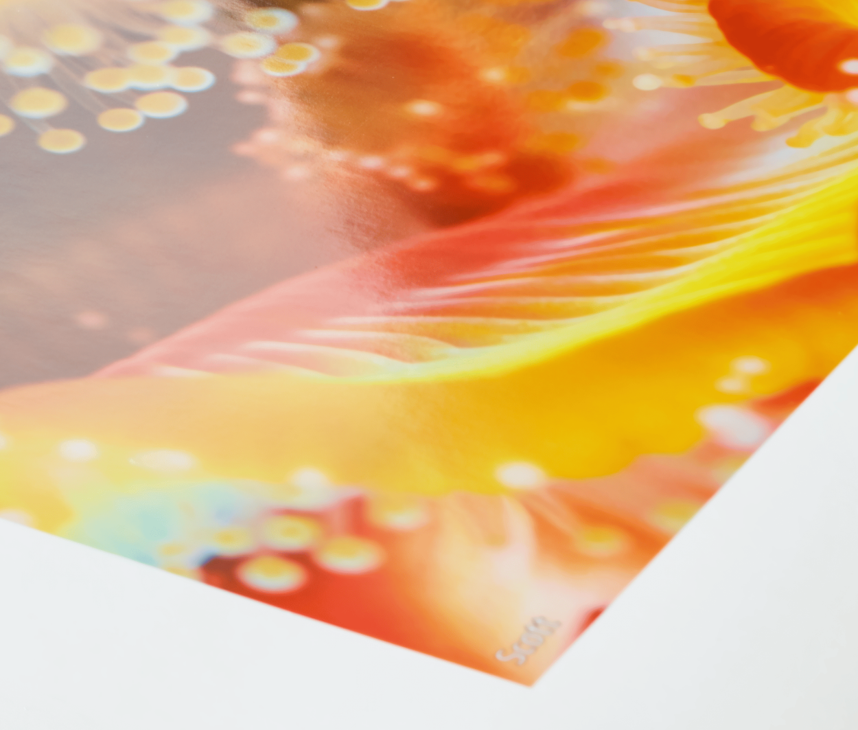 art print, colorful, abstract, floral, orange-yellow