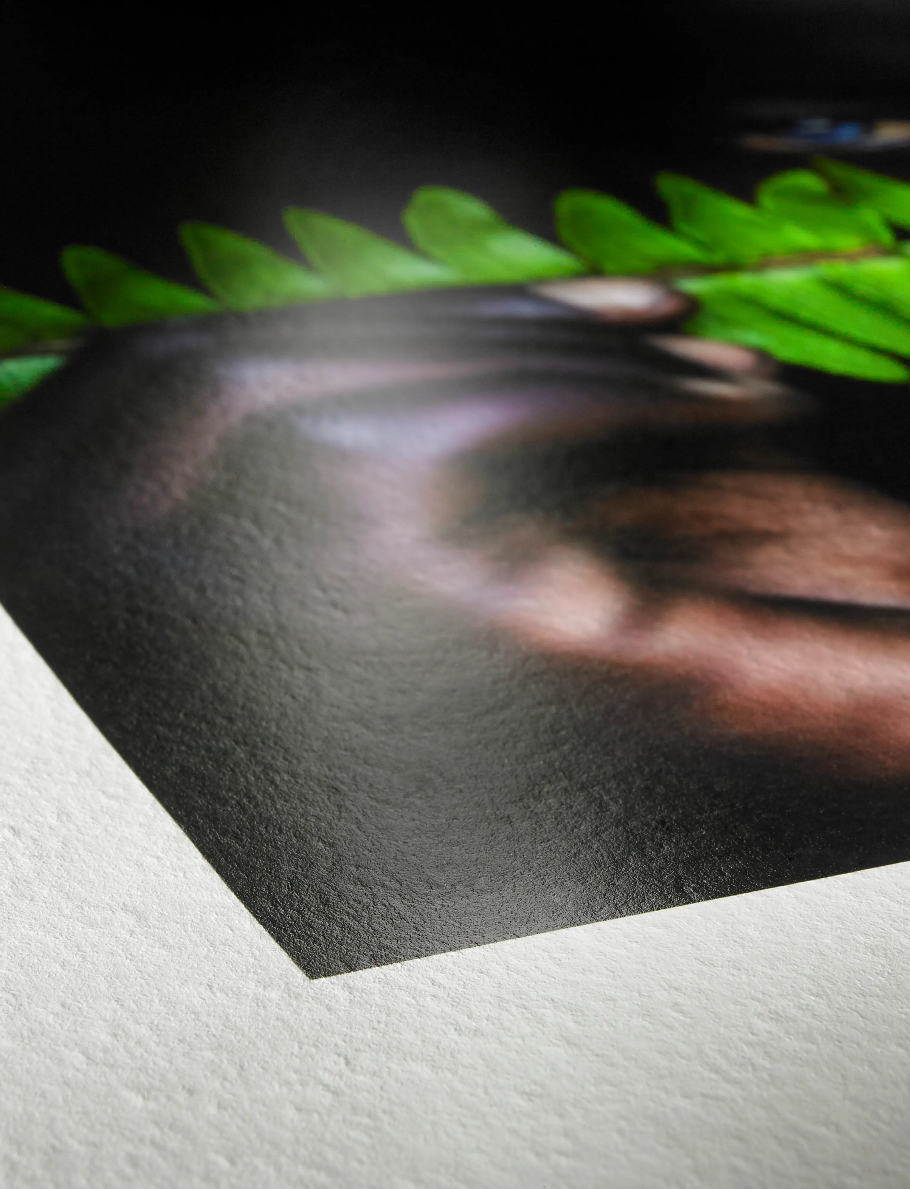 photography, poster, print, black, green