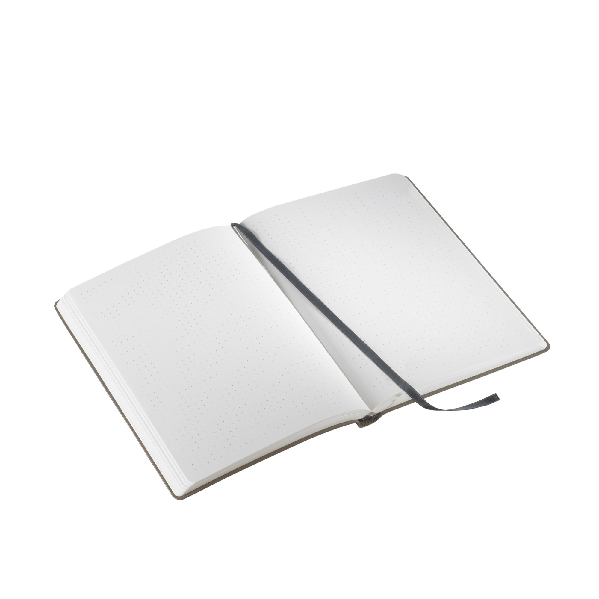 18300101-notebook-iconic-taupe-a5-2-1