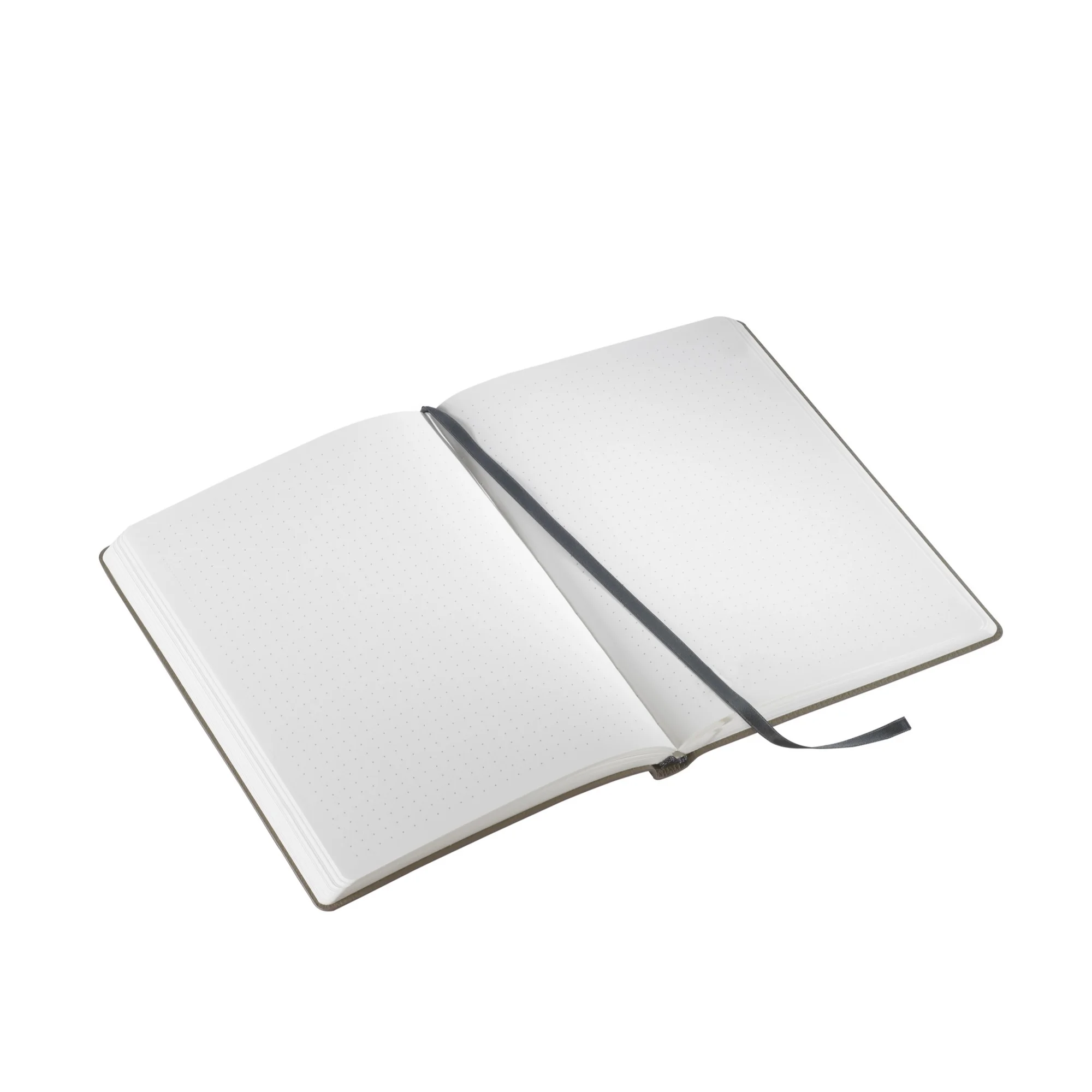 notebook, journal, dots, elastic?, open notebook