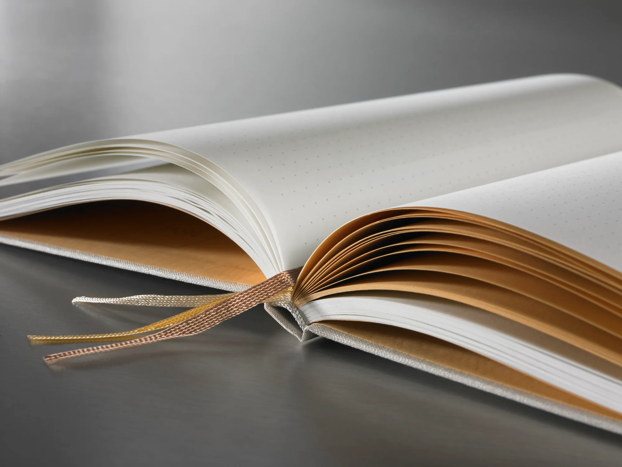 notebook, journal, dot grid, paper, binder?
