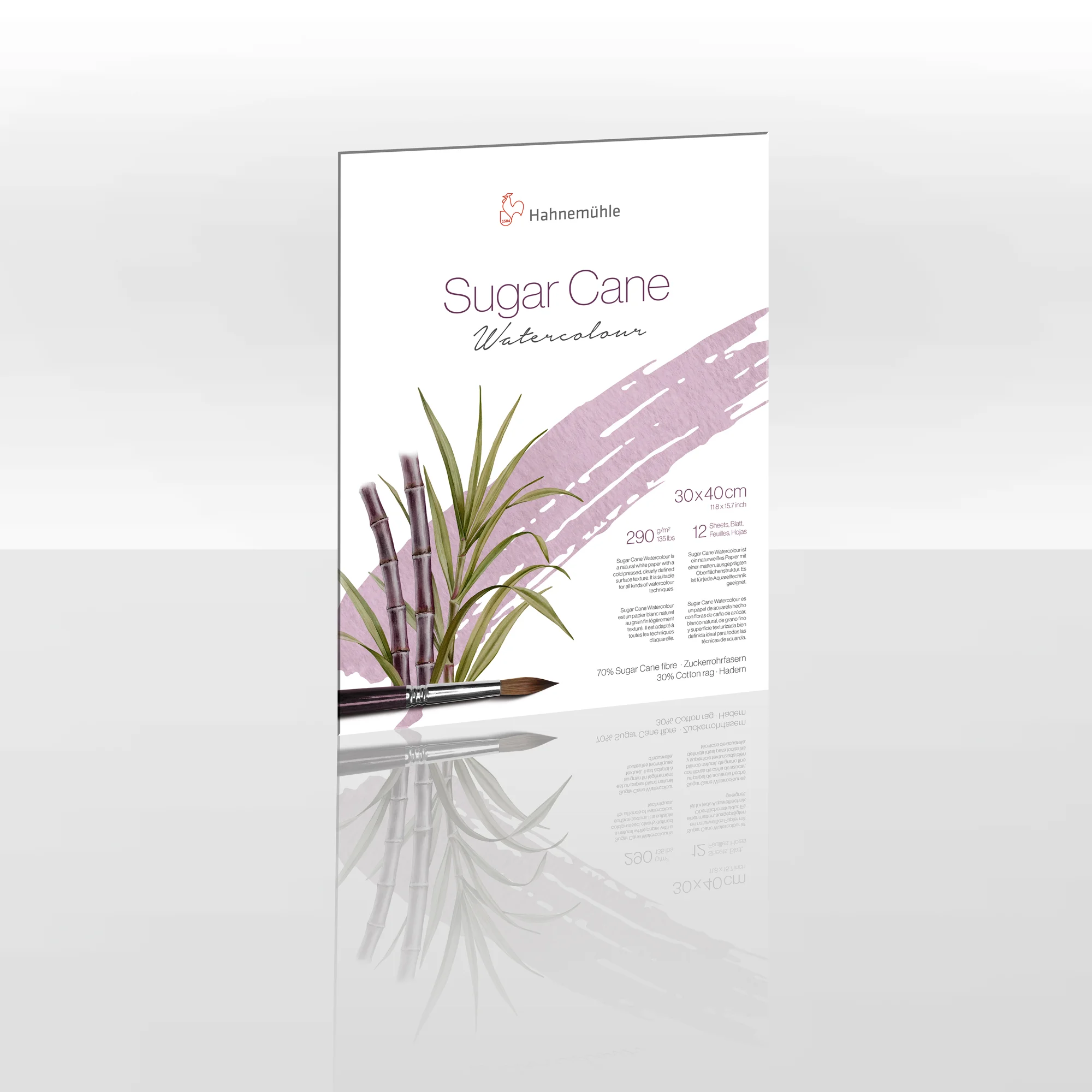 sugar cane, watercolor, poster, brush, plant decor