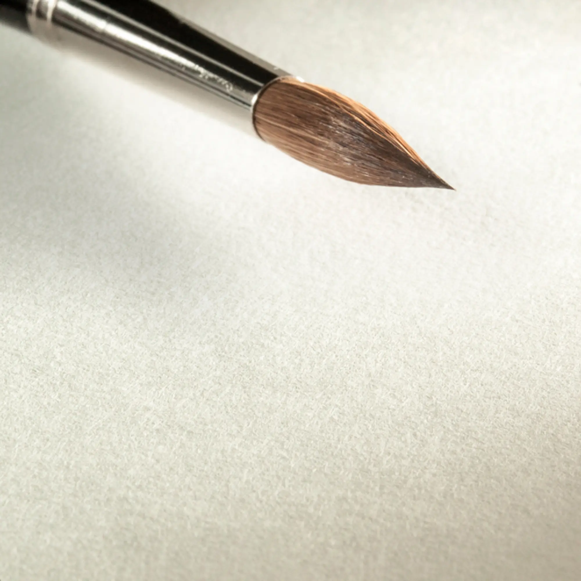 brush, makeup, eye brush, bristle, brown