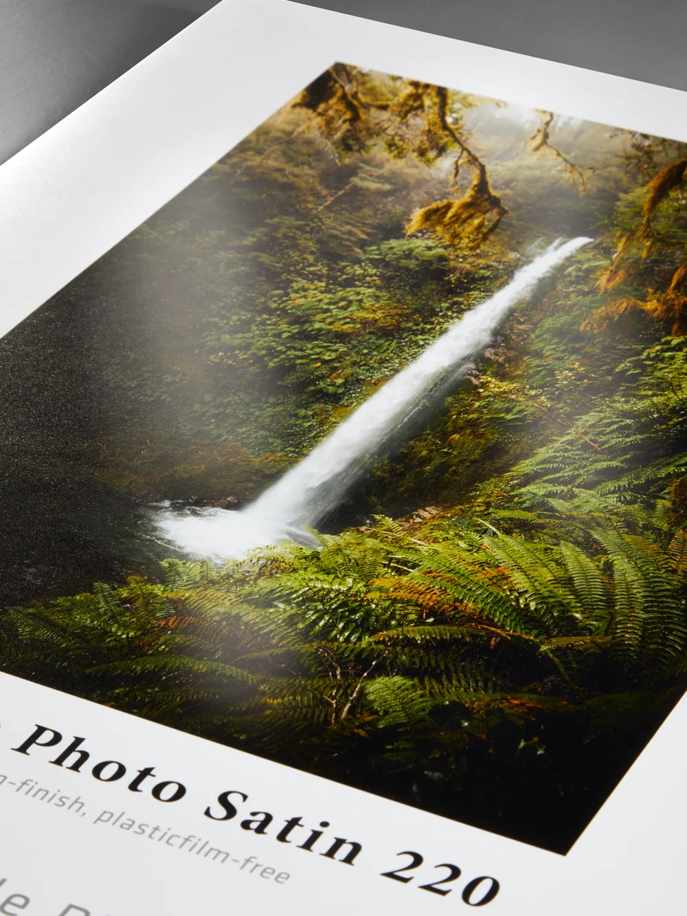 waterfall, fern, nature, photograph, print