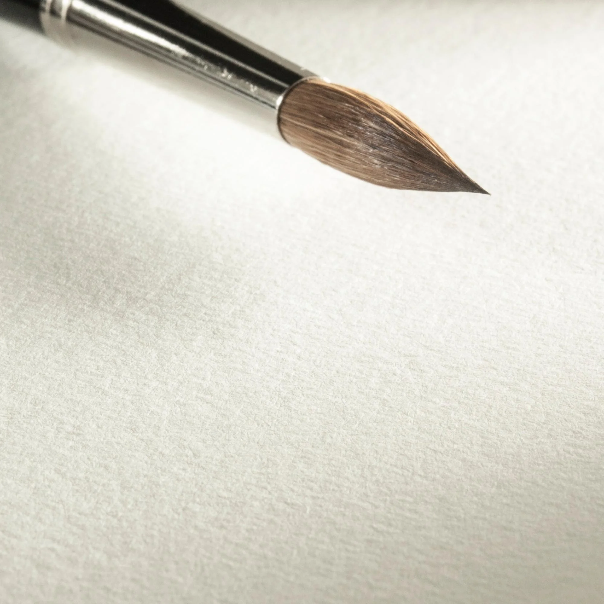 makeup, brush, paint, art tool, tip
