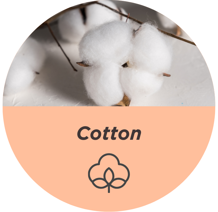 cotton, cotton boll, fiber, white, textile