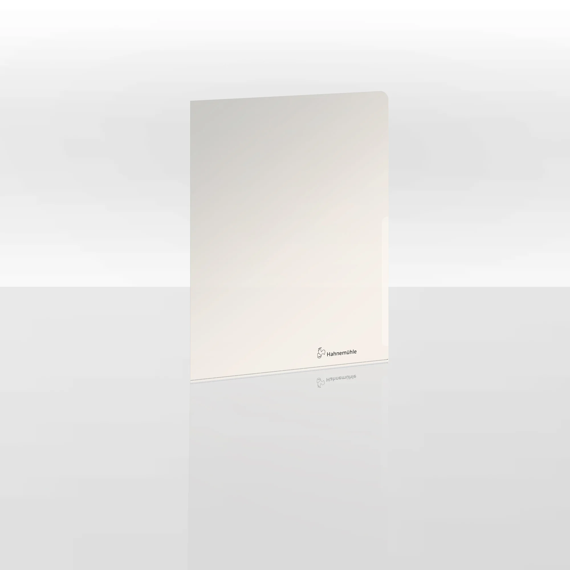 mirror, wall-mounted, beveled edge, rectangular, neutral color